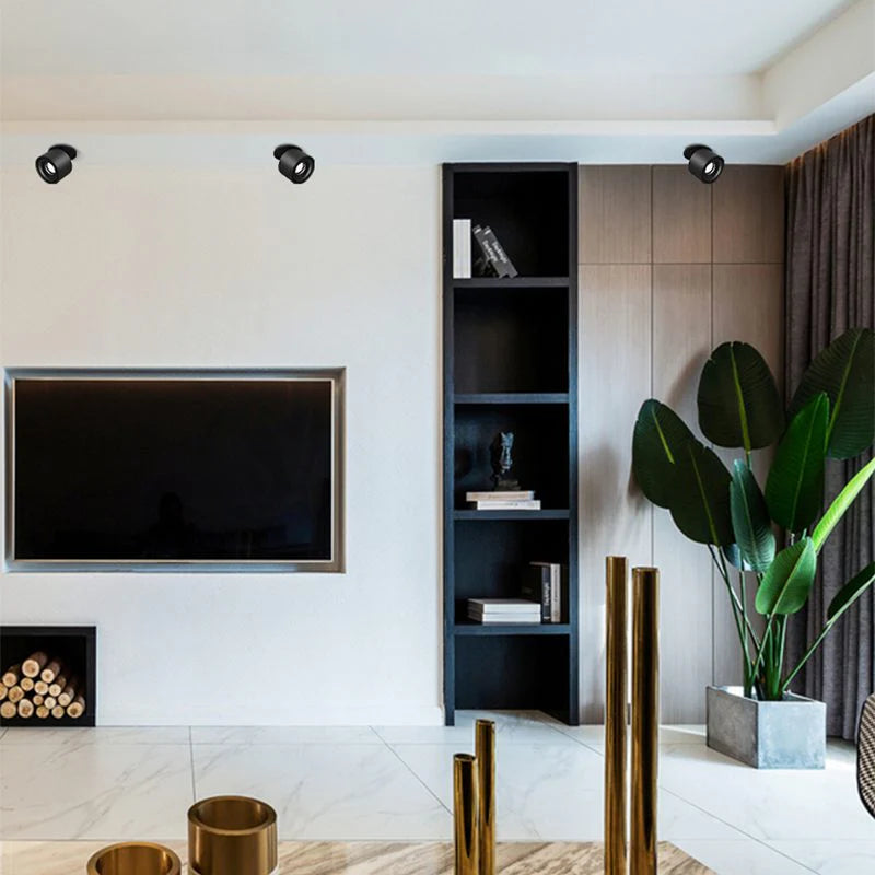 Alira Adjustable Cylinder Recessed LED Ceiling Lamp