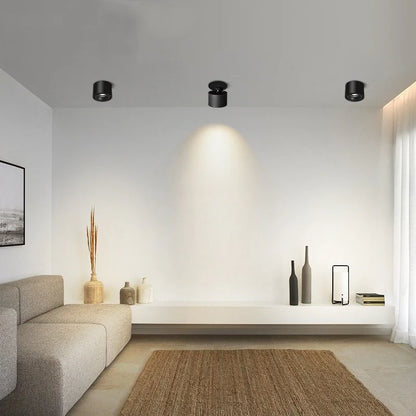 Alira Adjustable Cylinder Recessed LED Ceiling Lamp