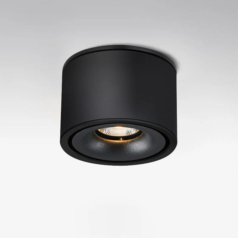 Alira Adjustable Cylinder Recessed LED Ceiling Lamp