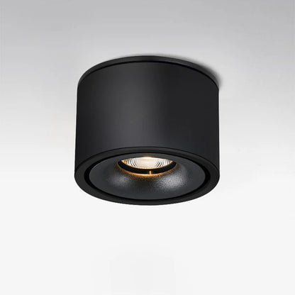 Alira Adjustable Cylinder Recessed LED Ceiling Lamp