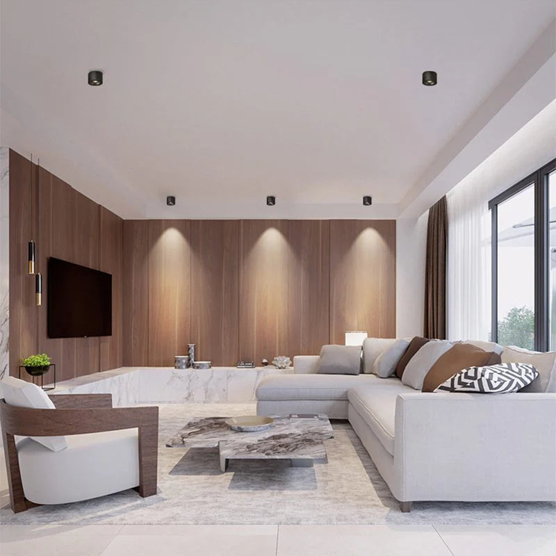 Alira Adjustable Cylinder Recessed LED Ceiling Lamp