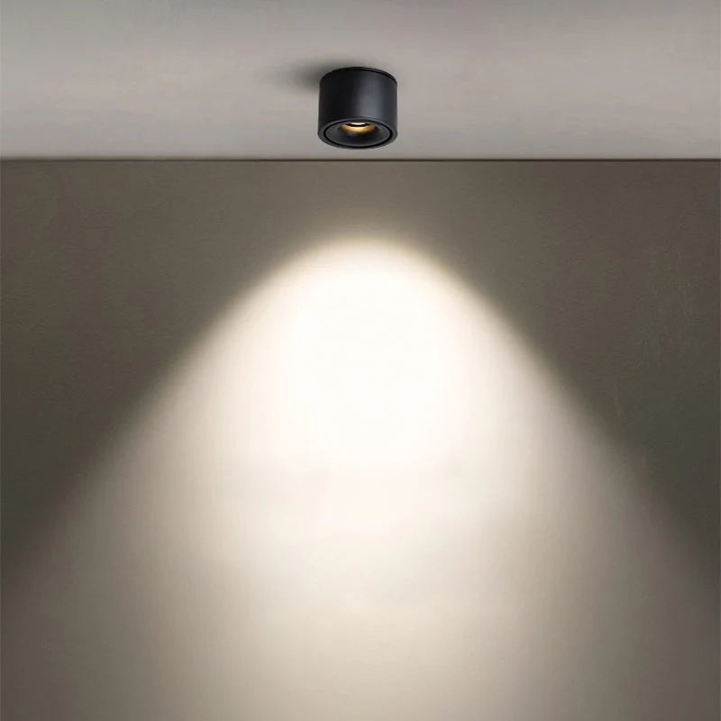 Alira Adjustable Cylinder Recessed LED Ceiling Lamp