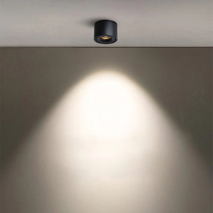 Alira Adjustable Cylinder Recessed LED Ceiling Lamp