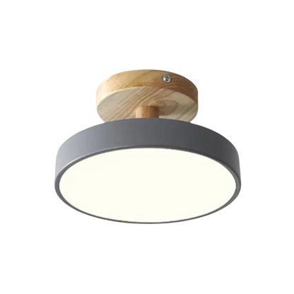 Soreia Compact Modern LED Ceiling Lamp