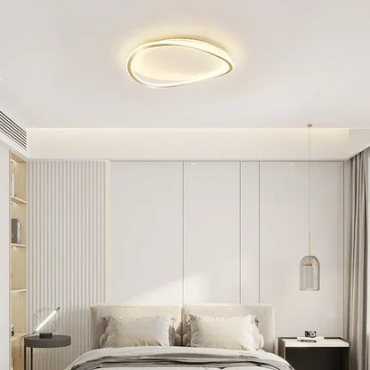 Sennia Modern LED Ceiling Lamp