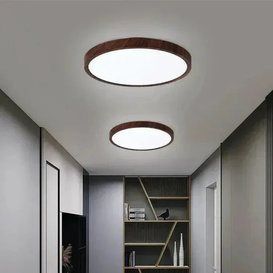 Isadora Modern LED Ceiling Lamp