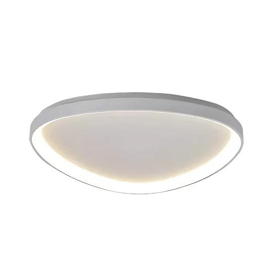 Cirevia Modern LED Ceiling Lamp