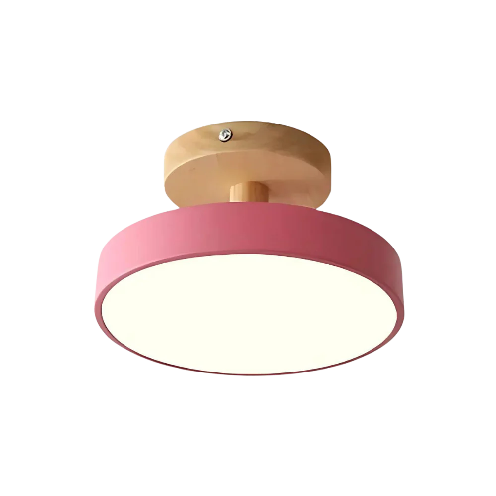 Soreia Compact Modern LED Ceiling Lamp