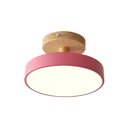 Soreia Compact Modern LED Ceiling Lamp