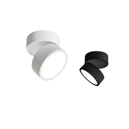 Somos Adjustable LED Ceiling Lamp