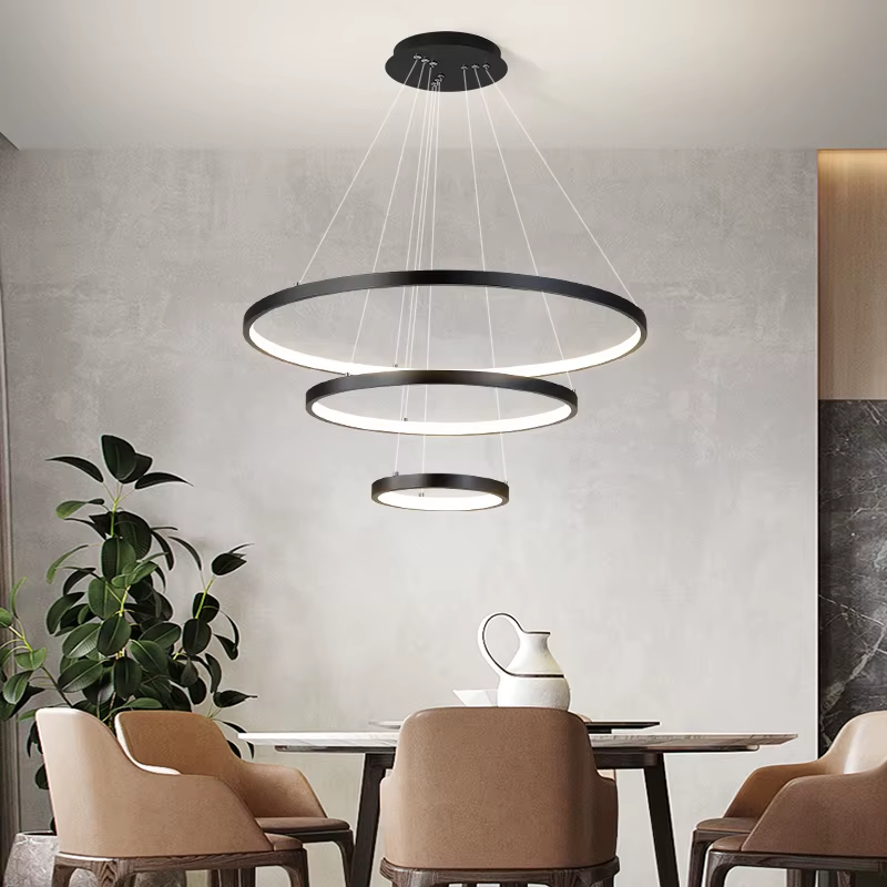 Halo Modern Ceiling Lamp