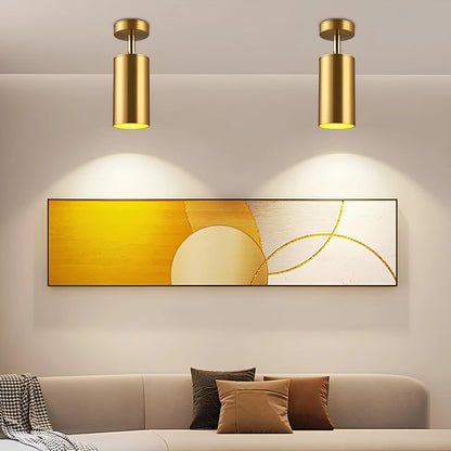 Olenia Adjustable Modern LED Ceiling Lamp with Rotating Arms