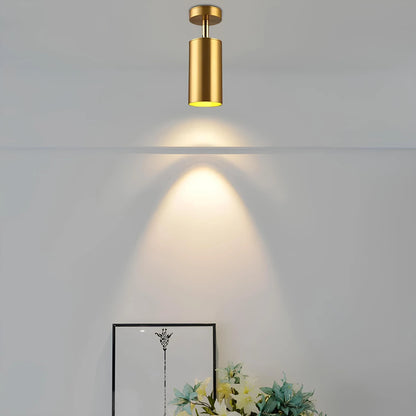 Olenia Adjustable Modern LED Ceiling Lamp with Rotating Arms