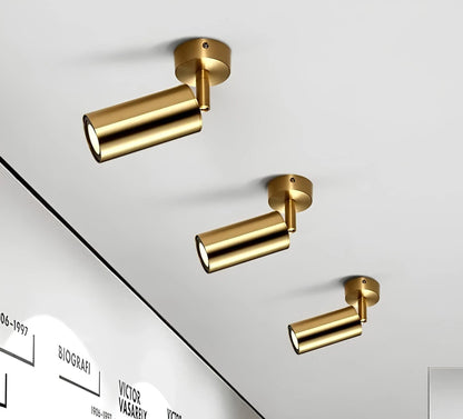Olenia Adjustable Modern LED Ceiling Lamp with Rotating Arms
